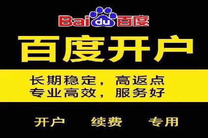 SEM广告创意与优化：成功案例分享